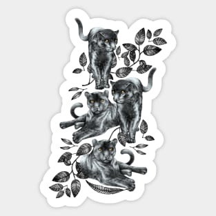 Black Panther Pals Sticker